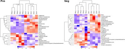 Untargeted Global Metabolomic Analysis Reveals the Mechanism of Tripropylamine-Enhanced Lycopene Accumulation in Blakeslea trispora